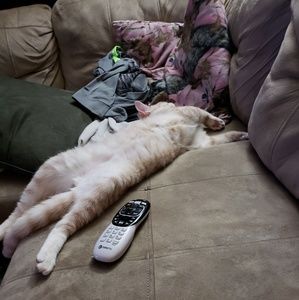 Meet your Posher, Courtney